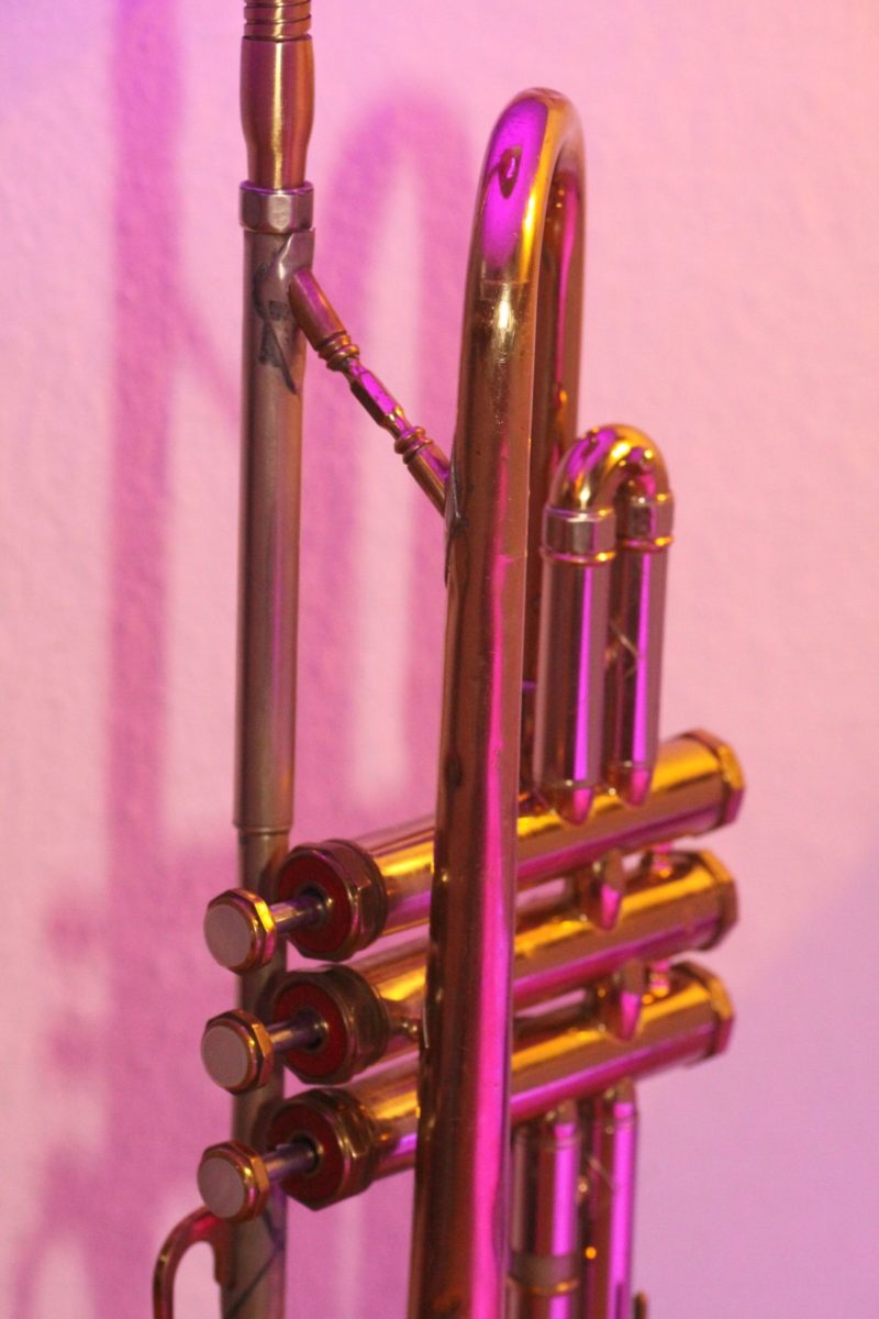 Trompetenlampe Stehlampe Gold LED (RGB) + Fernbedienung Trompete