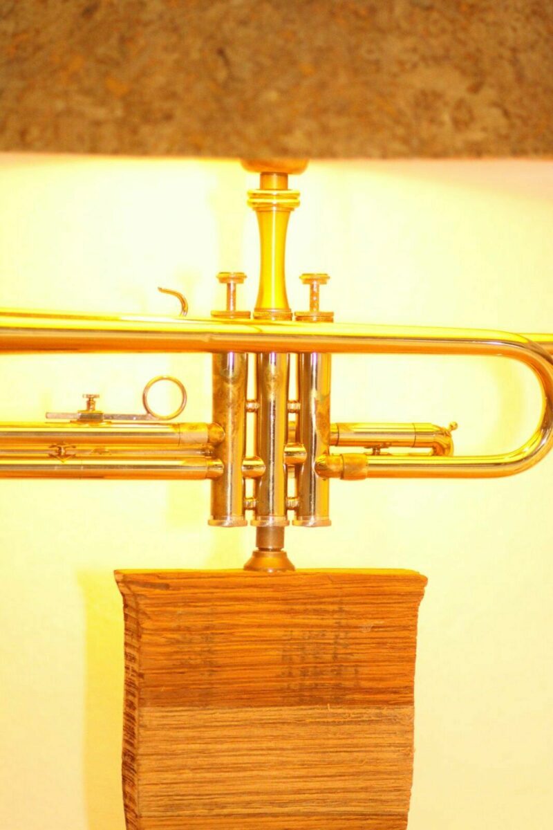 Trumpet lamp floor lamp wood lampshade cork sustainable