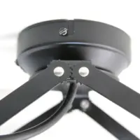 Decken- & Wandlampe im Fotostudio-Design mit Pantograph – stufenlos ausziehbar